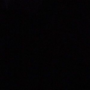 Meet your Posher, Kyra